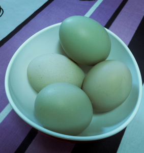 huevos azules
