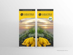 Diseño gráfico RollUps