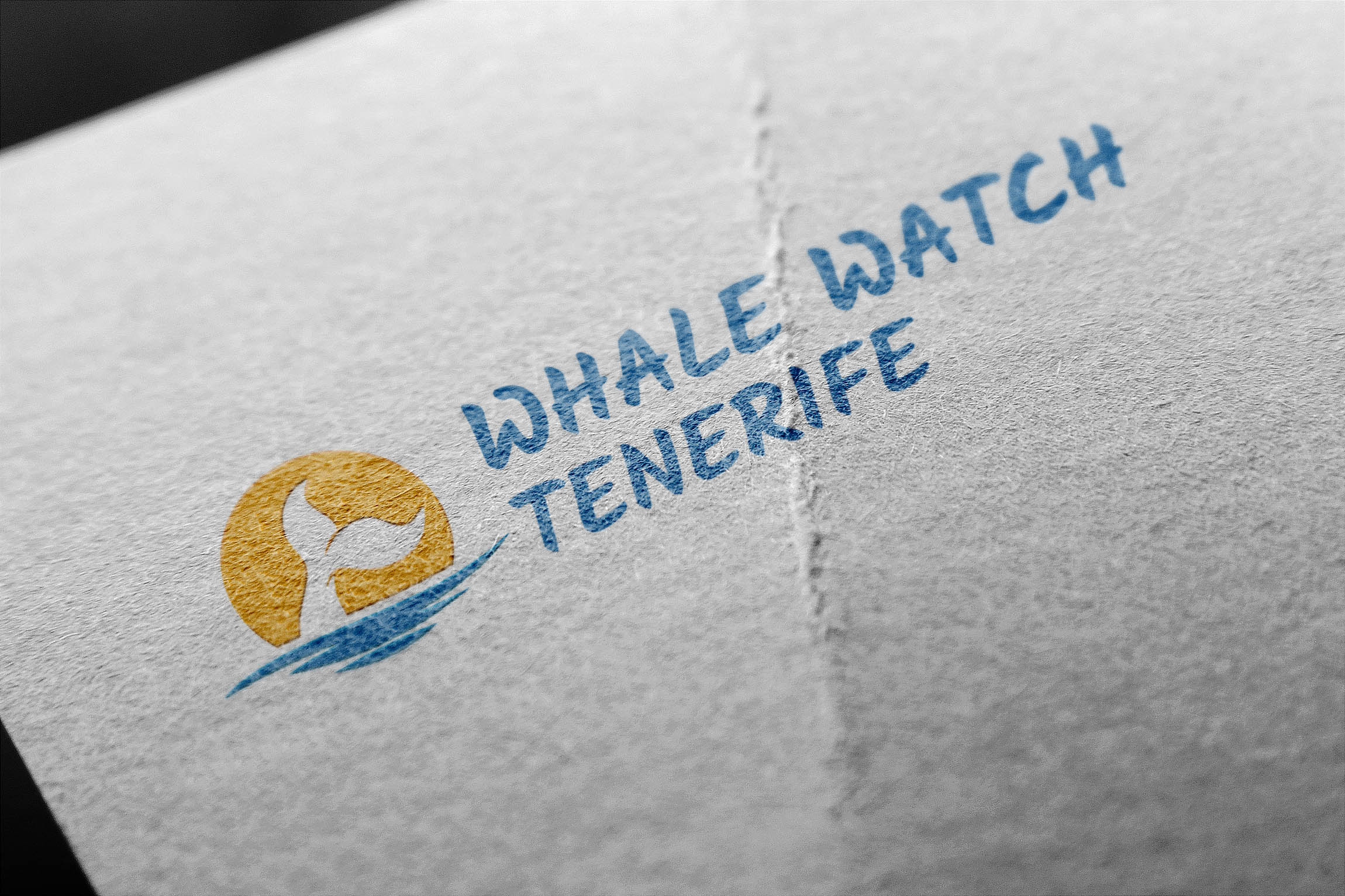 Rediseño Logo Whale watch tenerife