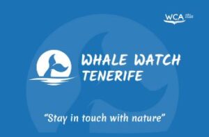 Tarjeta whale watch tenerife A